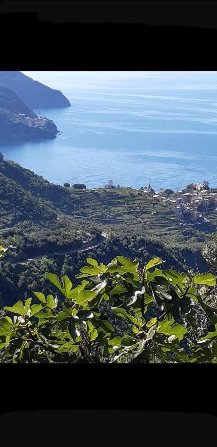 Affittacamere Il Timone Corniglia Luaran gambar