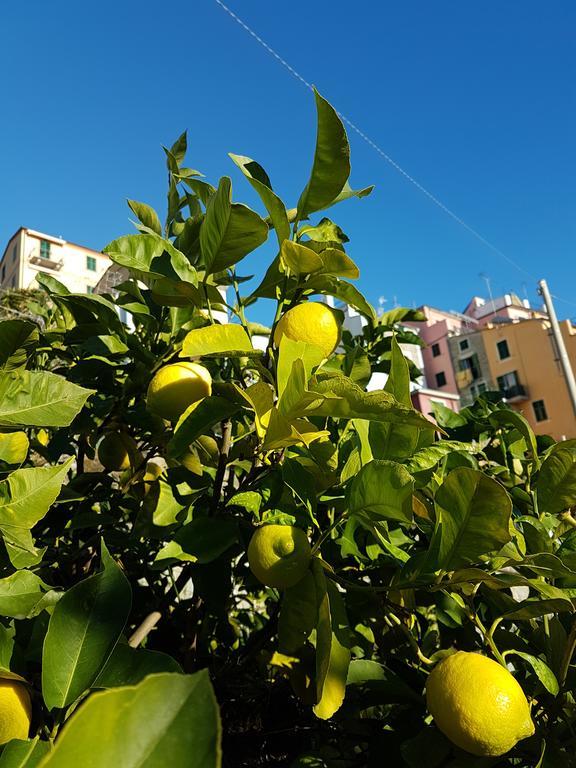 Affittacamere Il Timone Corniglia Luaran gambar