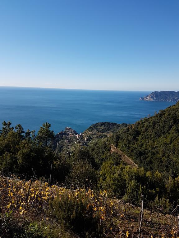 Affittacamere Il Timone Corniglia Luaran gambar