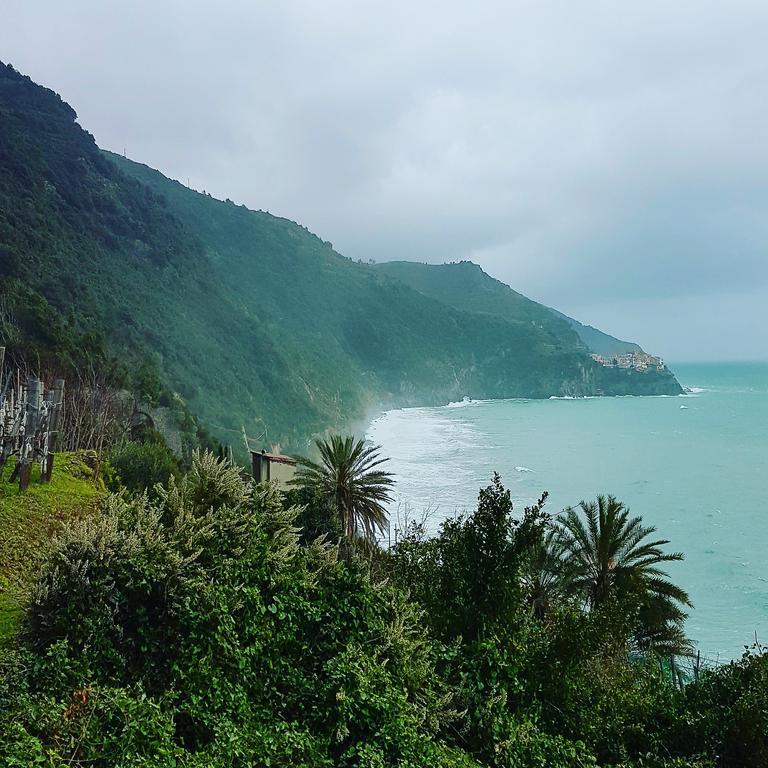 Affittacamere Il Timone Corniglia Luaran gambar