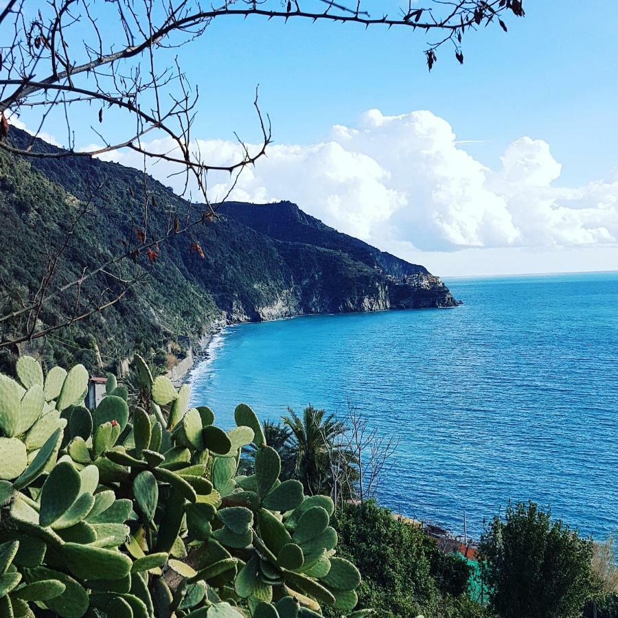 Affittacamere Il Timone Corniglia Luaran gambar