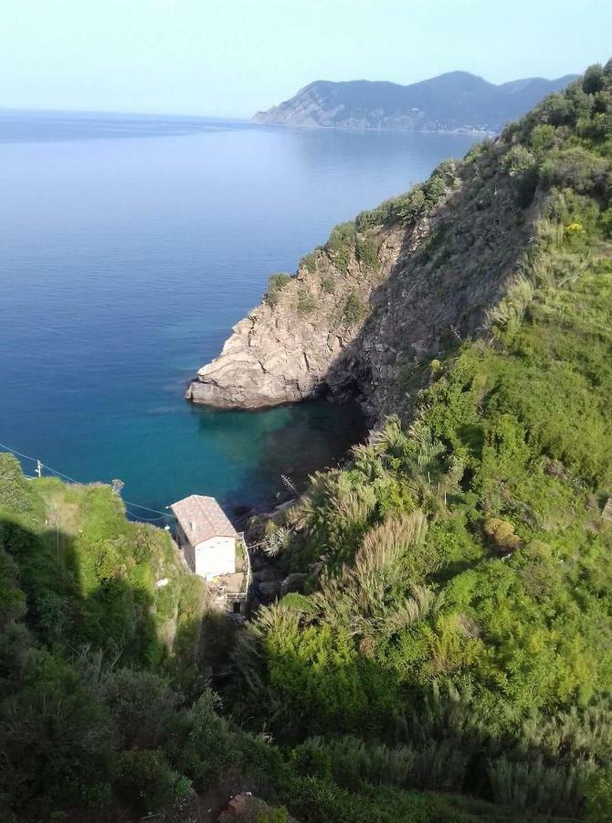 Affittacamere Il Timone Corniglia Luaran gambar